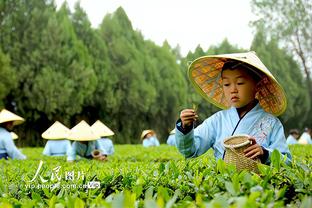 佩杜拉：萨索洛不希望贝拉尔迪转会有添头，尤文热刺仍有意卢卡库